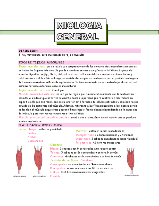Miniatura del documento miologia-general.pdf