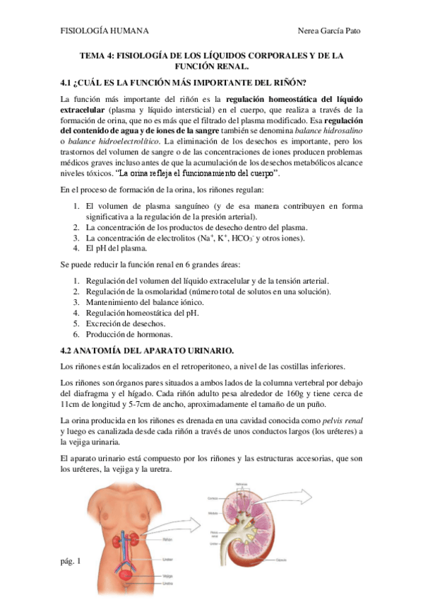 Miniatura del documento TEMA-4-FISIOLOGIA-DE-LOS-LIQUIDOS-CORPORALES-Y-DE-LA-FUNCION-RENAL.pdf