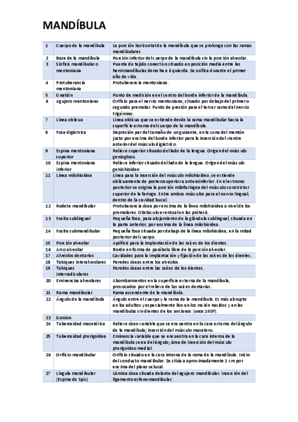 Miniatura del documento MANDIBULA.pdf