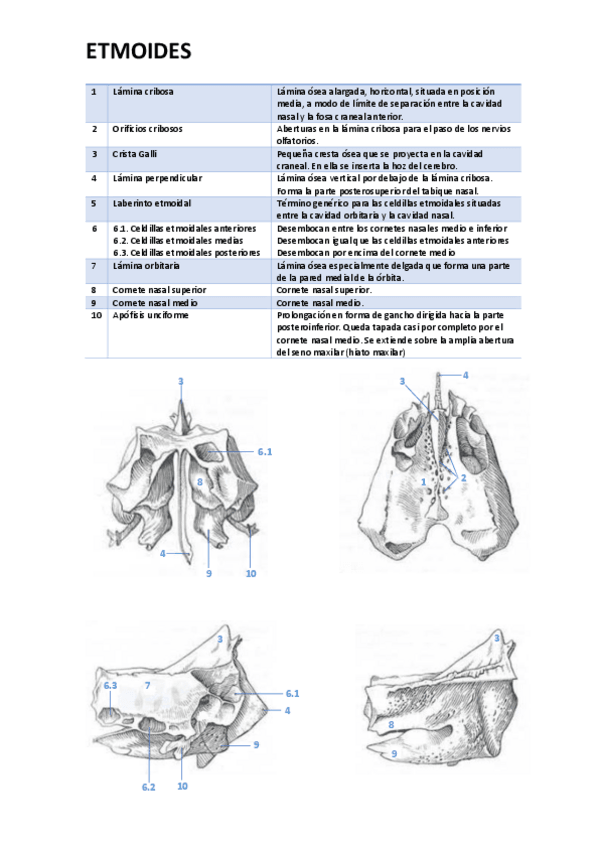 Miniatura del documento ETMOIDES.pdf