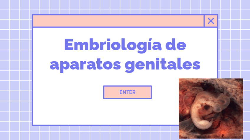 Miniatura del documento embriologia-de-aparatos-genitales.pdf