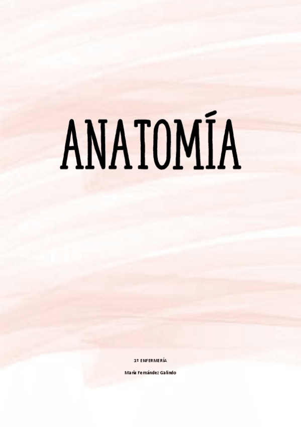 Miniatura del documento Apuntes-Anatomia-1o-enfermeria.pdf