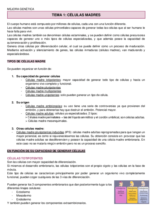 Miniatura del documento MEJORA-GENETICA-Apuntes.pdf