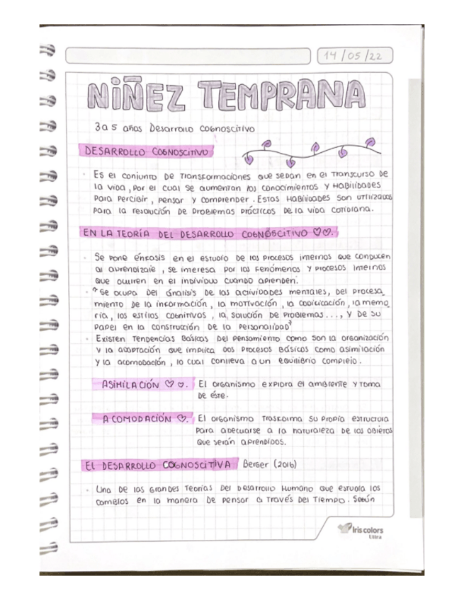 Miniatura del documento NINEZ-TEMPRANA.pdf