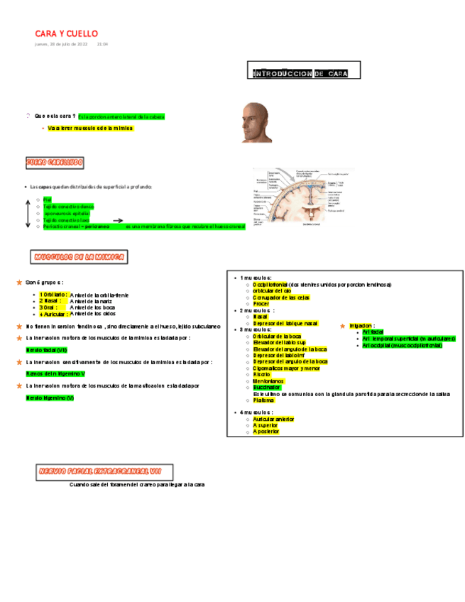 Miniatura del documento INTRODUCCION-DE-CARA.pdf