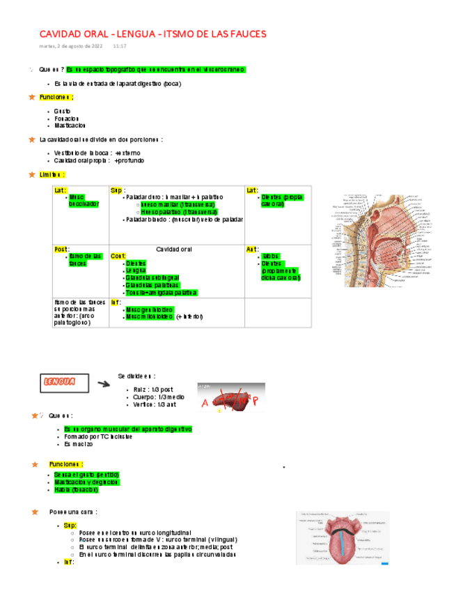 Miniatura del documento CAV-ORAL-LENGUA-ITSMO-DE-LAS-FAUCES.pdf