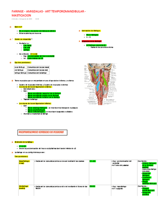 Miniatura del documento FARINGE.pdf