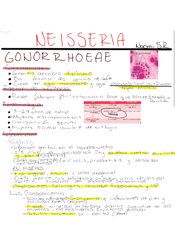 Miniatura del documento Neisseria-.pdf