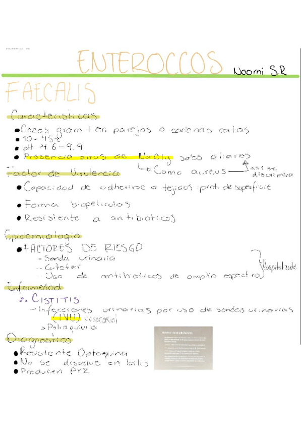 Miniatura del documento Enterococos-.pdf