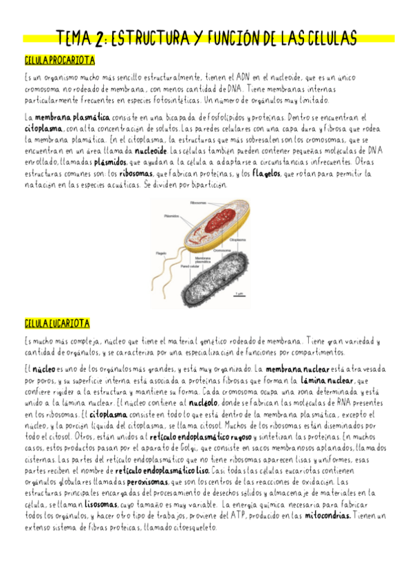 Miniatura del documento TEMA-2.pdf
