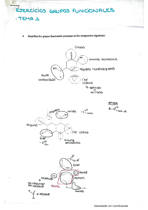 Miniatura del documento Ejercicios-Grupos-funcionales.pdf