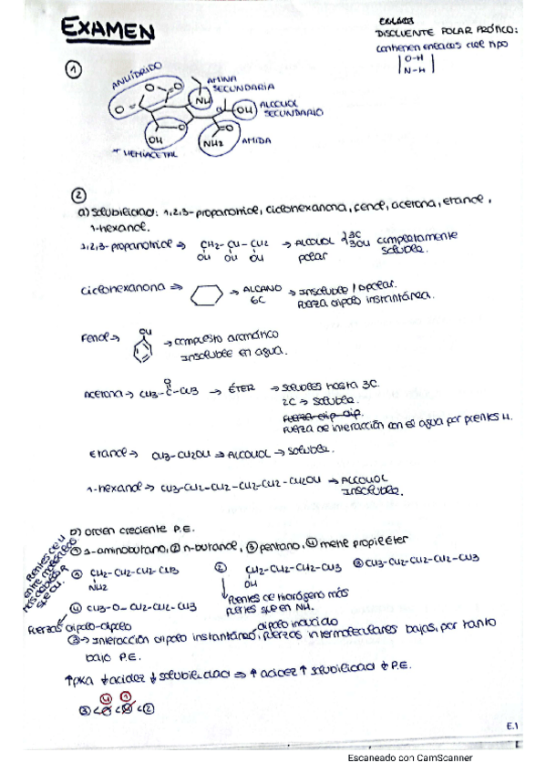 Miniatura del documento Examen-Organica.pdf