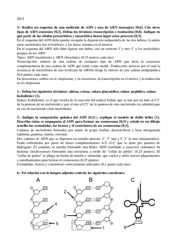 Miniatura del documento 06-PAU-Acidos-Nucleicos.odt