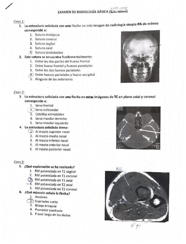 Miniatura del documento Scan-23-nov-17.pdf