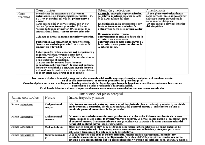 Miniatura del documento NEUROLOGIA-DE-MIEMBRO-SUPERIOR-ANATOMIA.docx