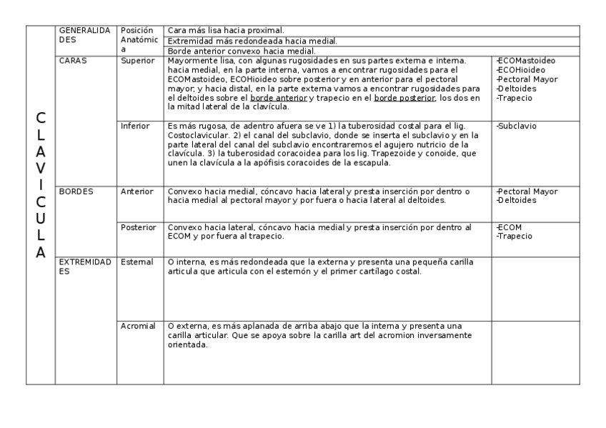 Miniatura del documento OSTEOLOGIA-DE-MIEMBRO-SUPERIOR-ANATOMIA.docx