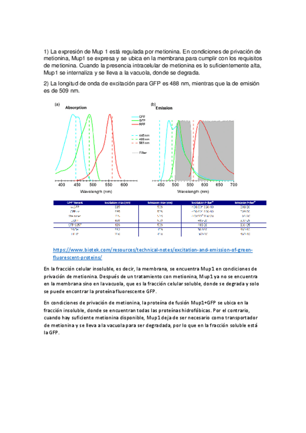 Miniatura del documento Experimentacion-pregunta-2.pdf