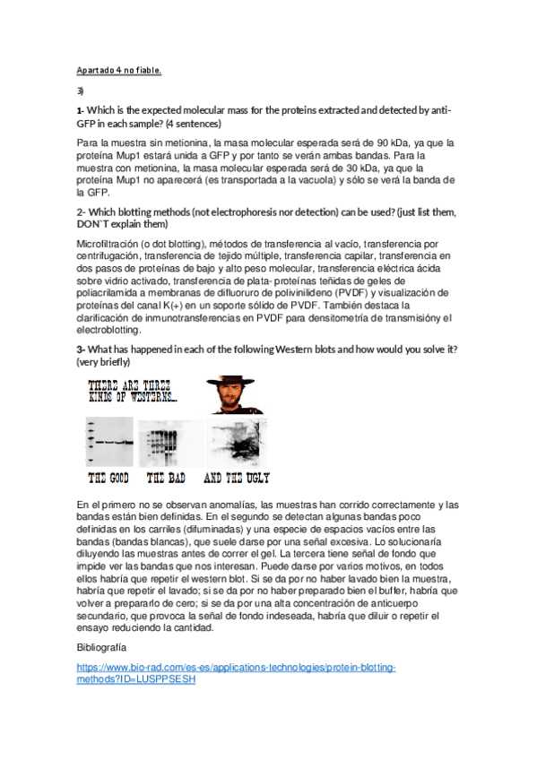 Miniatura del documento Experimentacion-preguntas-3-y-4.pdf