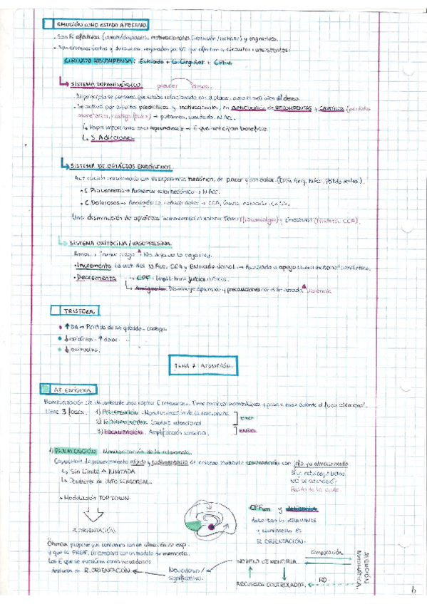 Miniatura del documento Escaner20220811-5-1.pdf