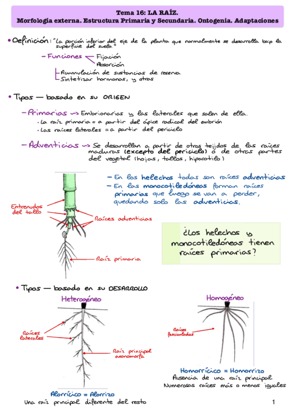 Miniatura del documento Tema-16-y-17.pdf