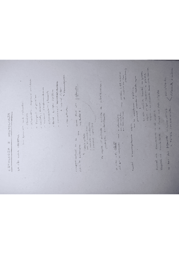 Miniatura del documento Cito-Vegetal-114405.pdf