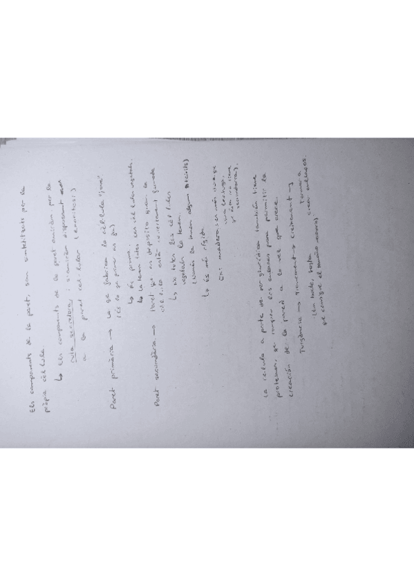 Miniatura del documento Cito-vegetal-289768.pdf