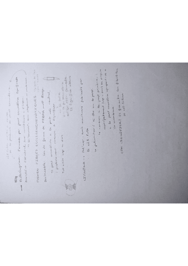 Miniatura del documento Cito-vegetal-338188.pdf