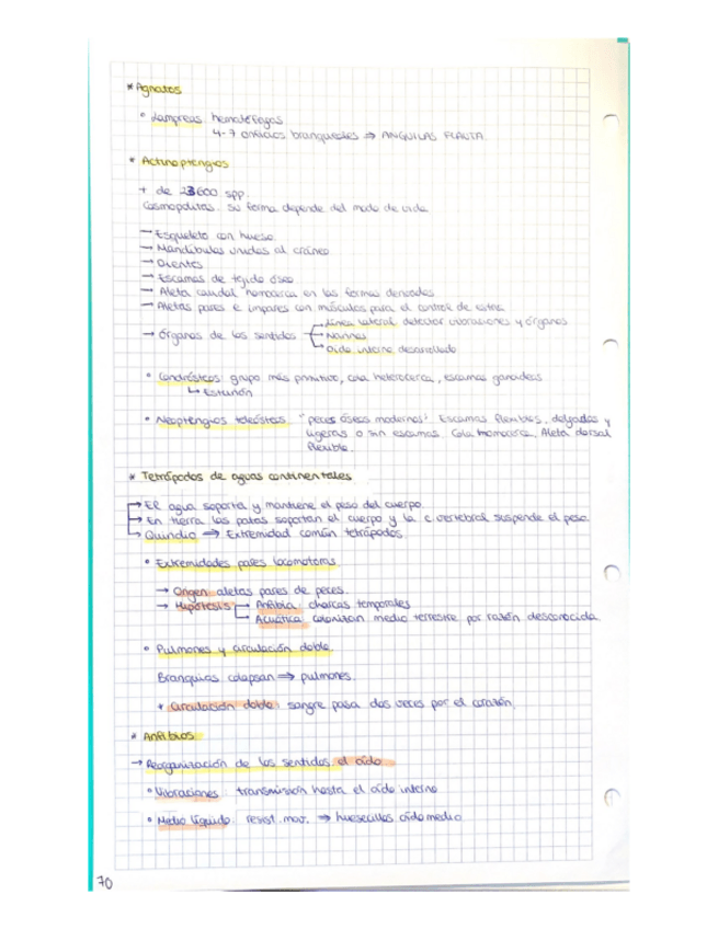Miniatura del documento Bloque-VI-pt-2.pdf