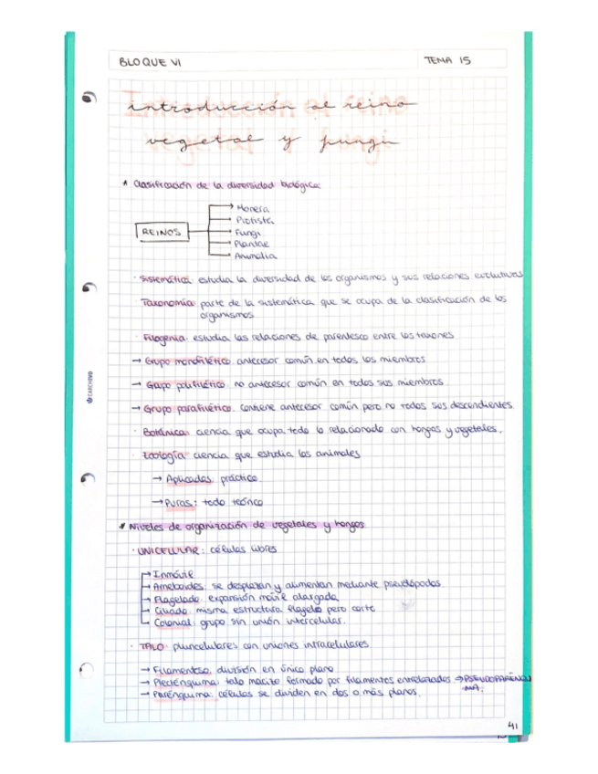 Miniatura del documento Bloque-VI-pt-1.pdf