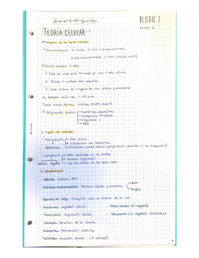 Miniatura del documento Bloque-I.pdf