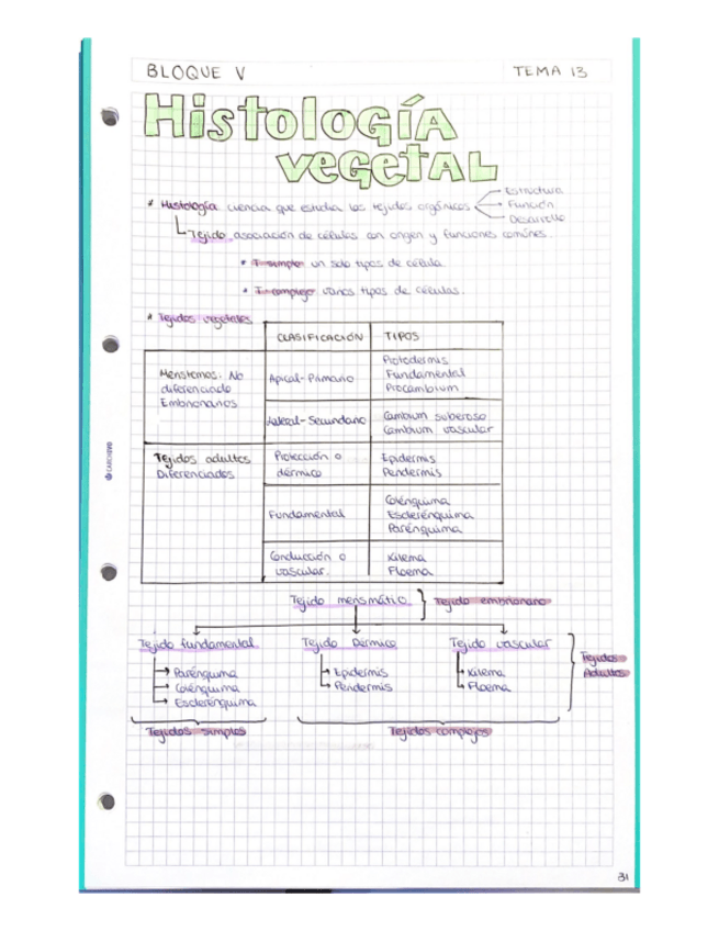Miniatura del documento Bloque-V.pdf