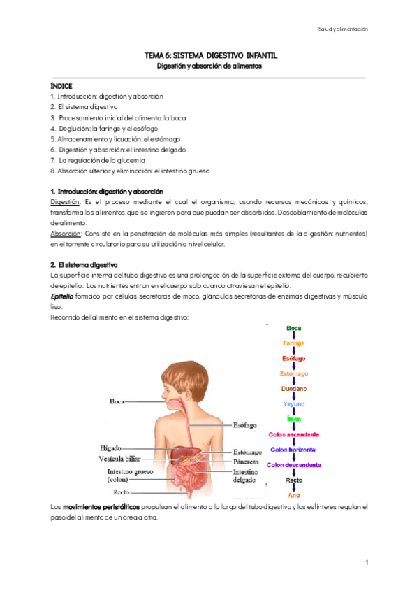 Miniatura del documento TEMA-6-SISTEMA-DIGESTIVO-INFANTIL.pdf
