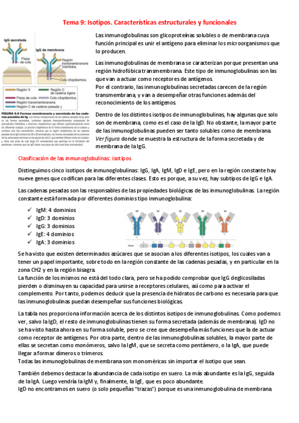 Miniatura del documento T9-I-Isotipos.pdf