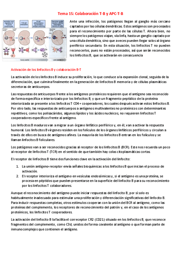 Miniatura del documento T15-I-Colaboracion-T-B-y-APC-T-B.pdf