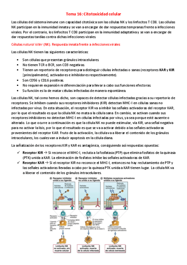 Miniatura del documento T16-I-Citotoxicidad-celular.pdf