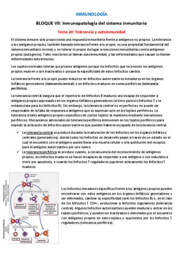 Miniatura del documento T20-I-Tolerancia-y-autoinmunidad.pdf