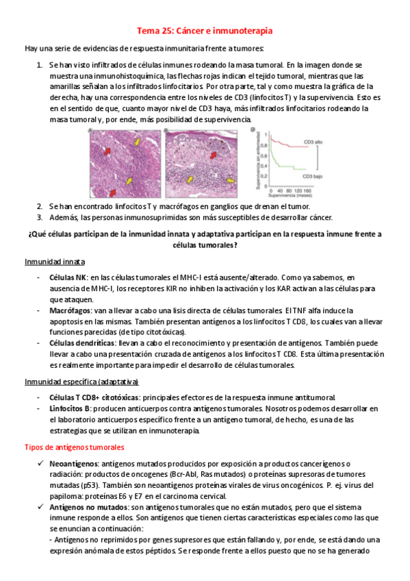 Miniatura del documento T25-I-Cancer-e-inmunoterapia.pdf