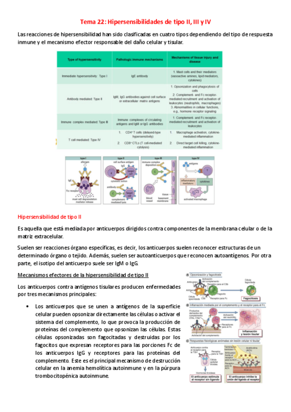 Miniatura del documento T22-I-Hipersensibilidades-restantes.pdf