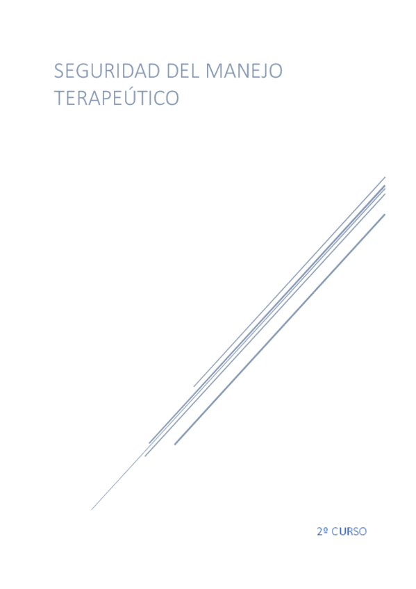 Miniatura del documento SEGURIDAD-DEFINITIVO.pdf