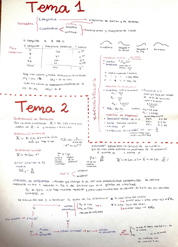 Miniatura del documento todo-el-temario-resumido-matematicas-II.pdf