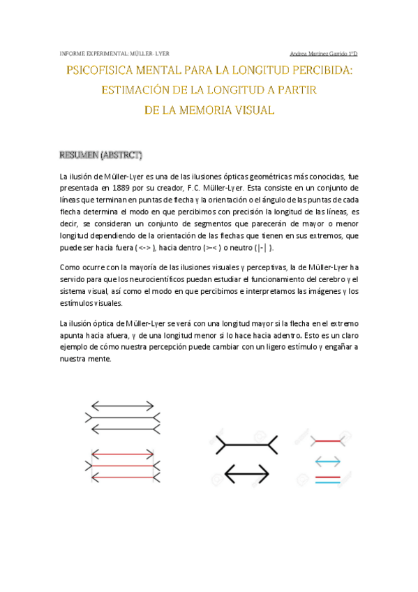 Miniatura del documento Informe experimental Muller-Lyer.pdf