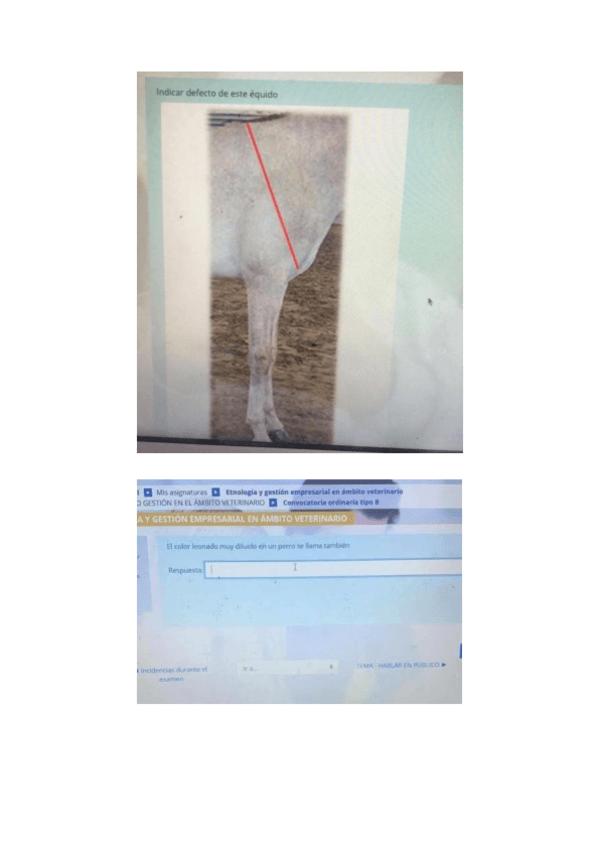 Miniatura del documento EXAMEN-ETNOLOGIA.pdf