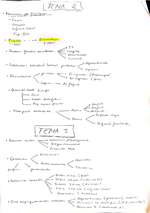 Miniatura del documento Apuntes-cortos-Biologia-Celular-esquema-resumen.pdf