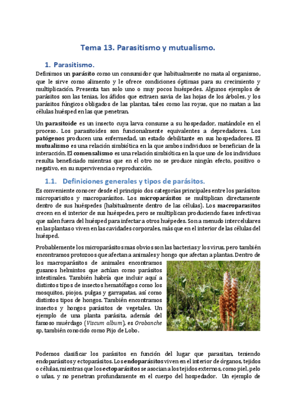 Miniatura del documento Tema-13.pdf