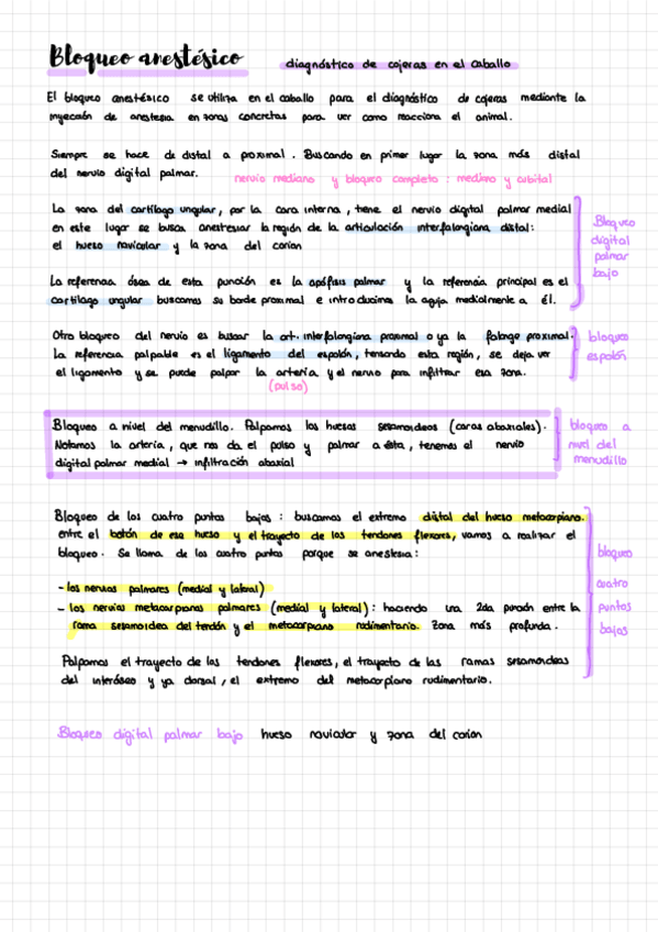 Miniatura del documento 2do parcial