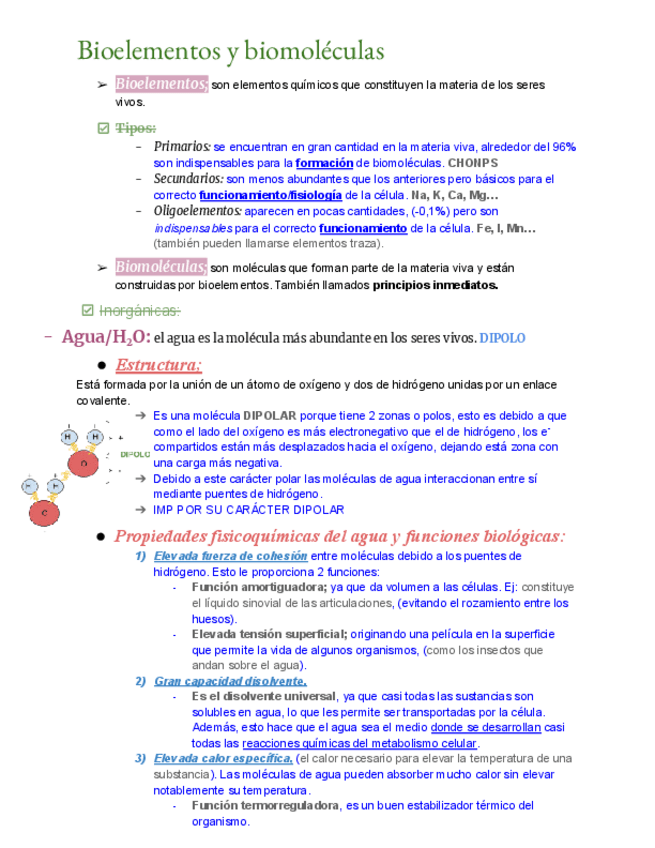Miniatura del documento BioelementosyBiomoleculas.pdf