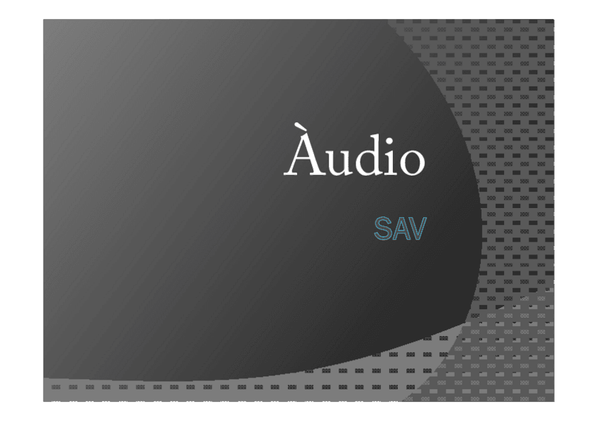 Miniatura del documento Audio.pdf