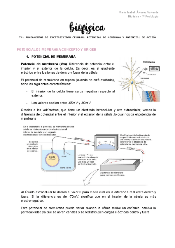 Miniatura del documento TEMA-4-BIOF.pdf