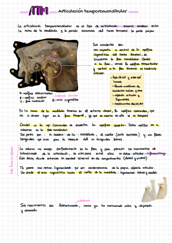 Miniatura del documento PARCIAL1-Preguntas-Desarrollo.pdf