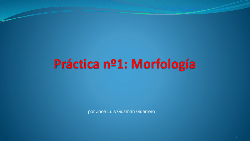 Miniatura del documento Practica-1.pdf